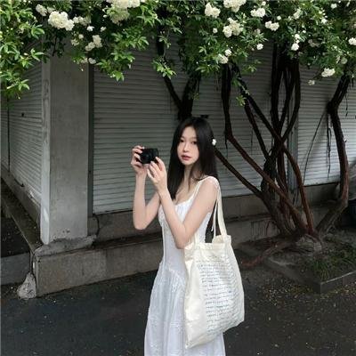 王国之路第二季